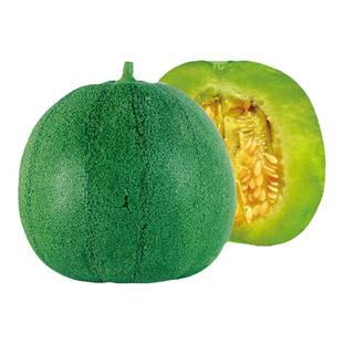 绿宝石9号绿皮甜瓜种子种籽苗秧香瓜春季四季蔬菜秧苗南方瓜苗孑