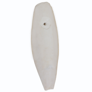 墨鱼骨鹦鹉专用珍珠玄凤鸟类磨牙补钙啃咬大块玩具串解闷神器用品