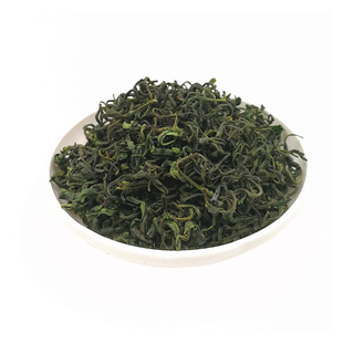 2025柏塘山茶广东博罗春茶浓香型绿茶正宗茶叶500g[随机免费送盒]