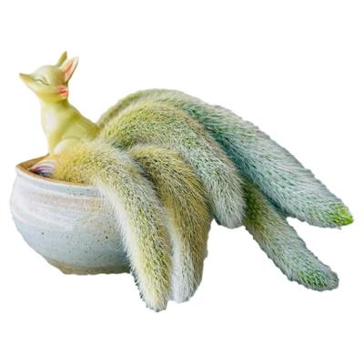 九尾狐多肉植物幼儿园小盆栽精品摆件白长软毛绿植阳台仙人掌科
