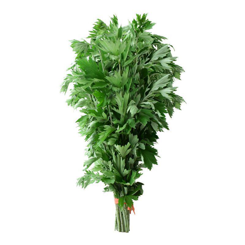 端午节艾草新鲜门挂窗挂泡澡泡脚