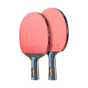 DOUBLE FISH/双鱼麒麟金木乒乓球拍成品拍学生初学者比赛横直单拍