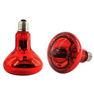 飞利浦红外线理疗仪进口灯泡三频红外线100W灯泡神灯配件家用医用