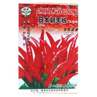 日本朝天椒种子小红辣椒四川火辣朝天椒种籽小米椒辣椒种子超辣