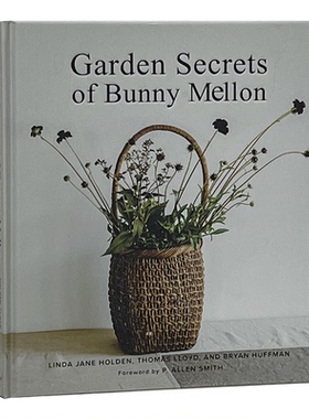 绿色植物鲜花书籍样板间装饰摆件