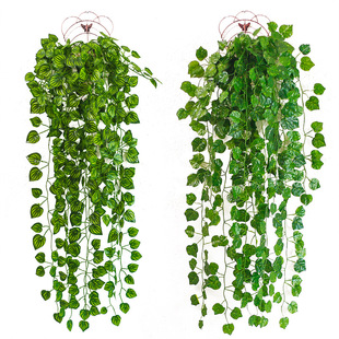 爬山虎壁挂长青仿真植物假花藤条藤蔓装饰绿植墙空调树叶吊篮绿萝