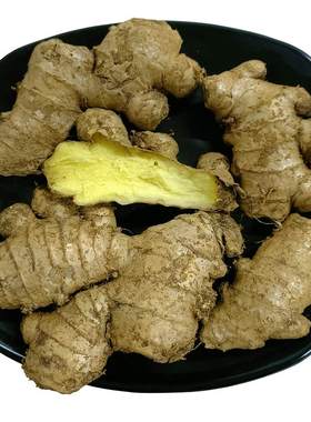 贵州二年老姜母生姜老姜老姜王泡脚理疗养生艾灸头疗脚疗小姜块