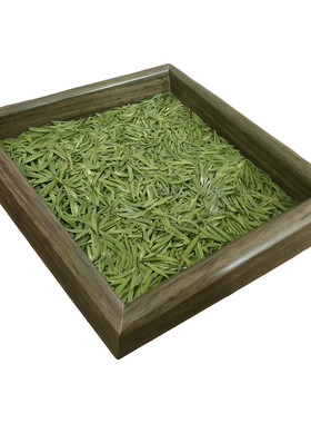 明前头采特级嫩芽雀舌罐装250g