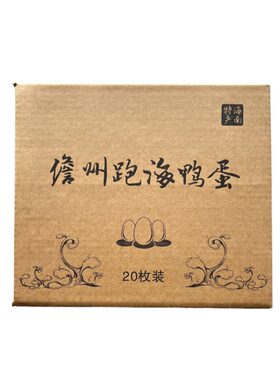 跑海兄弟海鸭兄弟跑海鸭蛋