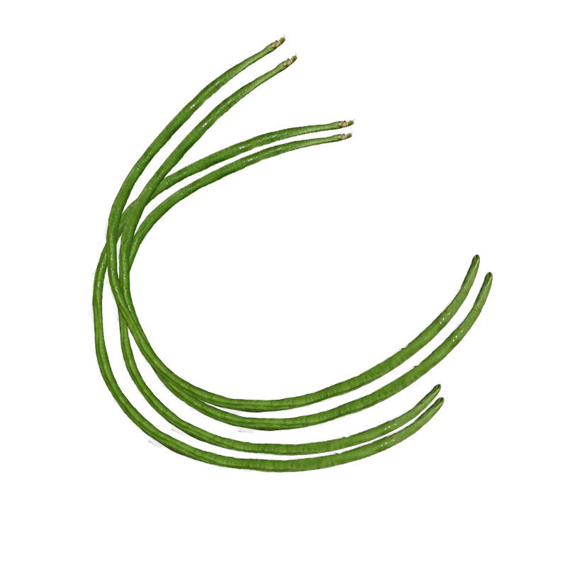 新鲜重庆时令应季蔬菜腌制长豇豆
