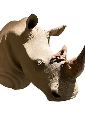 汉博雕塑不锈钢犀牛艺术品雕塑