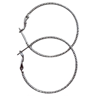 欧美夸张金属大圆圈耳环女2026新款轻奢高级感耳圈个性时髦耳饰潮