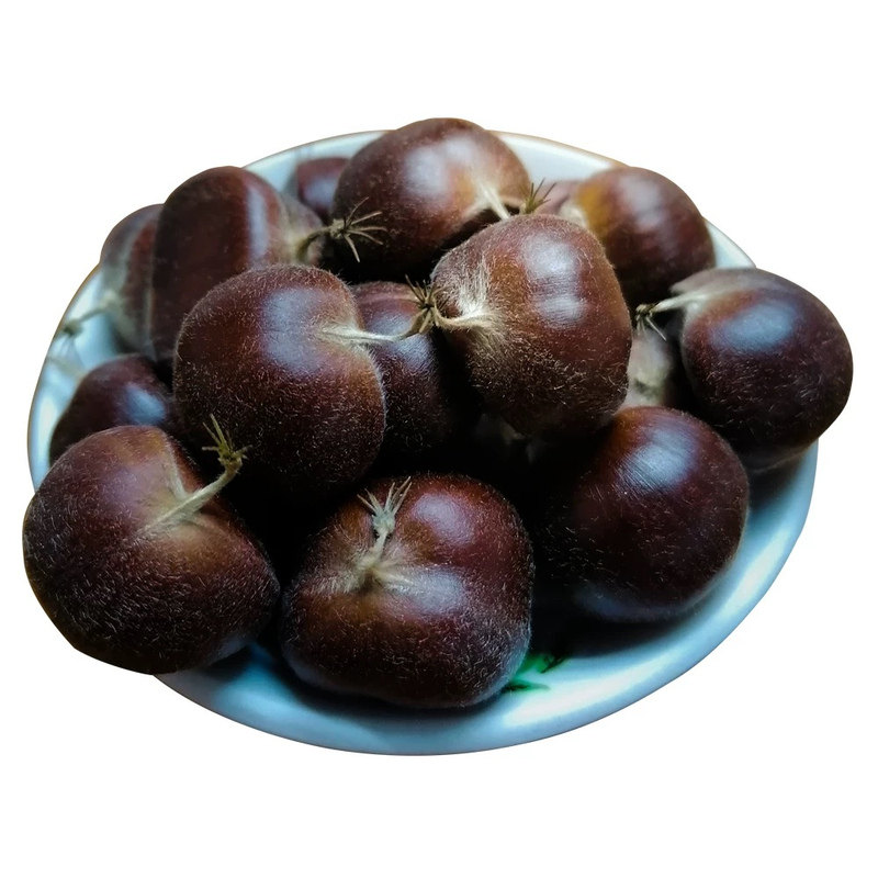 正宗迁西板栗生鲜直发