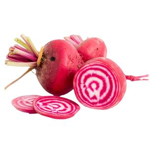 基奥贾甜菜种子传家宝甜脆红头甜根菜阳台春秋盆栽易种蔬菜萝卜根