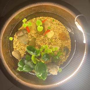 古法鱼缸灯 专用防水鱼池水缸生态圆形缸养鱼照明水下灯带led灯条