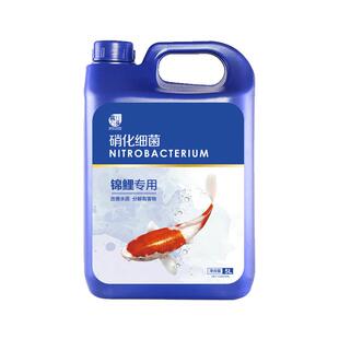 硝化菌养鱼用净水剂活菌锦鲤鱼池净化水质稳定剂鱼缸用消化细菌液