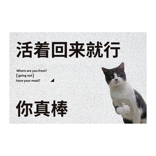 2025一级保护废物外卖地毯家用防滑地垫入户进大门口玄关脚垫丝圈