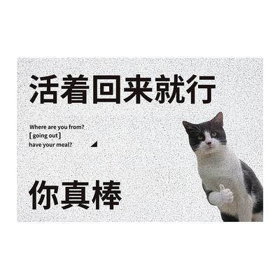 慢说入户地垫蹭土耐脏