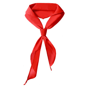 晨光红领巾小学生通用纯棉儿童标准棉布棉全棉一年级小号1米涤纶纯色1.2米正品绸布二年级初中生大号批发