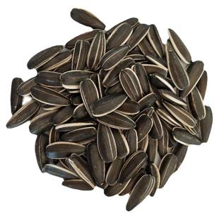 新鲜原味内蒙五原3638生瓜子葵花子新货零食葵花籽不上火大颗粒
