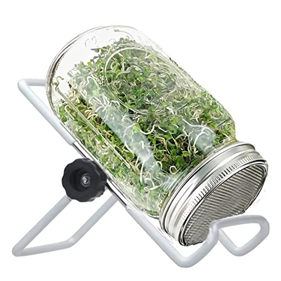 家用发芽罐生豆芽不锈钢发芽罐