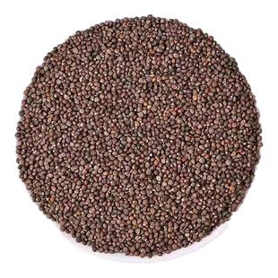 苏子粉紫苏子粉熟紫苏子籽粉中药材商用韩国馅料香料食用烧烤调料