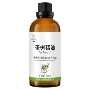 澳洲茶树精油单方植物萃取精油按摩泡澡脚互叶白千层清洁头皮秀发