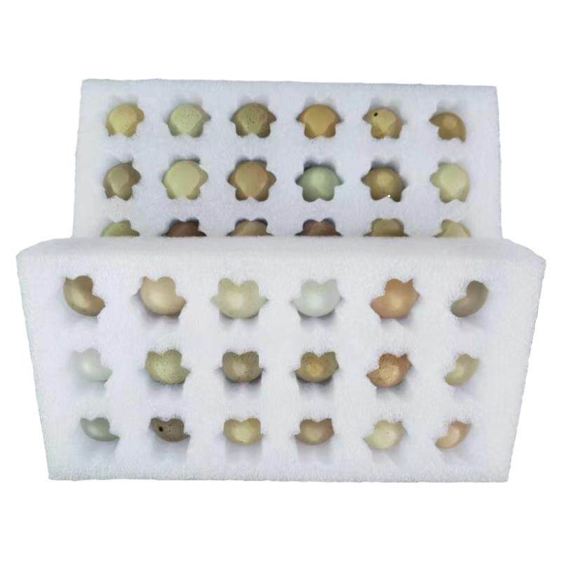 芦丁鸡蛋受精蛋种蛋受精卵可孵观赏活物宠物鸡变异纯白家养礼服鸡