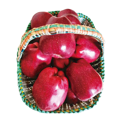 天水正宗花牛苹果新鲜