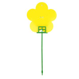 小飞虫黄板双面粘虫板花卉杀虫剂飞虫小黑飞板绿植盆栽园艺诱捕器