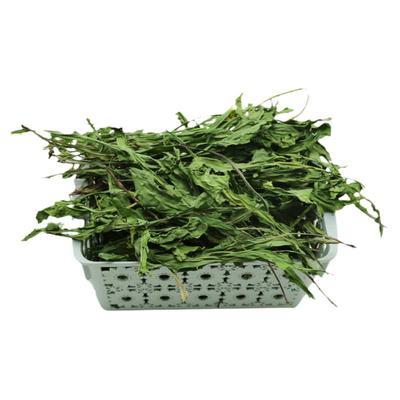 龙猫归乡提干草饲料兔子豚鼠