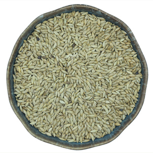 进口新加纳利子白尖金丝雀草籽文鸟鹦鹉鸟粮玉鸟黄雀加纳利籽鸟食