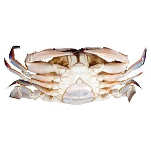 东港梭子蟹飞蟹螃蟹辽宁沈阳同城舟山当季新鲜水产公母送礼跑腿鲜