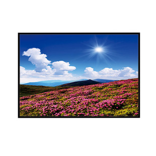 蓝天白云阳光装饰画映山红花海田园风景晶瓷画铝合金黑框横向挂画