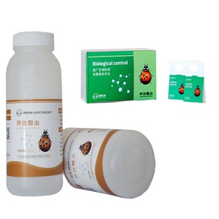 天敌昆虫异色瓢虫卵卡活体捕食防治果蔬园艺花卉蚜虫介壳虫等害虫