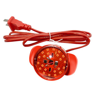 2个高亮红光新年春节灯笼内置防水电灯红色专用灯笼led灯泡灯笼灯