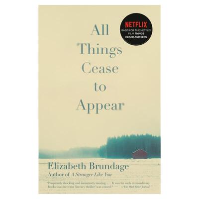 现货【外图英文小说】All Things Cease to Appear 一切都停止了 网飞电影 things heard and seen