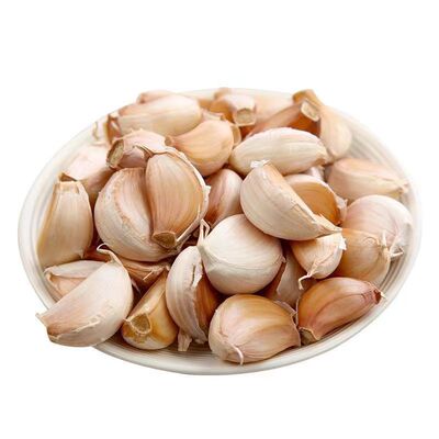 紫白皮蒜籽大蒜手掰新干蒜瓣种子