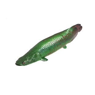 仿真大号巨骨舌鱼实心塑料观赏鱼带底座可拆静态手办模型玩具