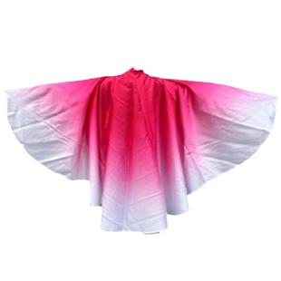 运动会入场创意道具开幕式道具变色翅膀舞蹈道具学校园团体操专用