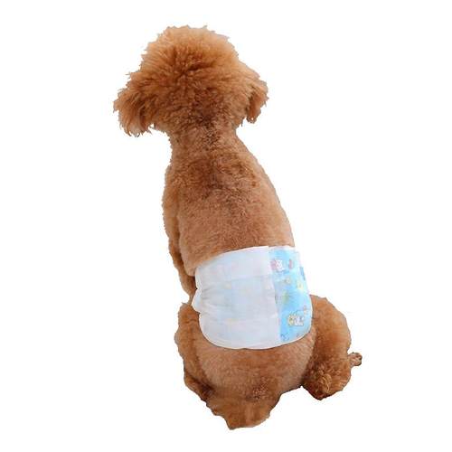 狗狗尿不湿公狗专用礼貌带泰迪小型犬尿片宠物生理裤纸尿裤防乱尿