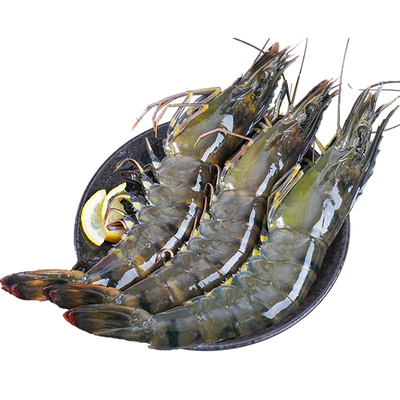 国联超大黑虎虾新鲜大虾鲜活速冻老虎虾冷冻海虾【详情页领补贴】