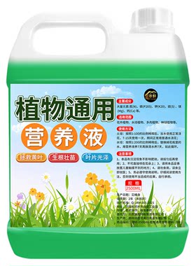 植物通用营养液室内盆栽植物绿植花卉营养液改善土壤生根壮苗液の