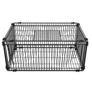 天落笼加密只进不出鸽子笼撞门笼活络门自动回收鸽子神器室外鸽笼