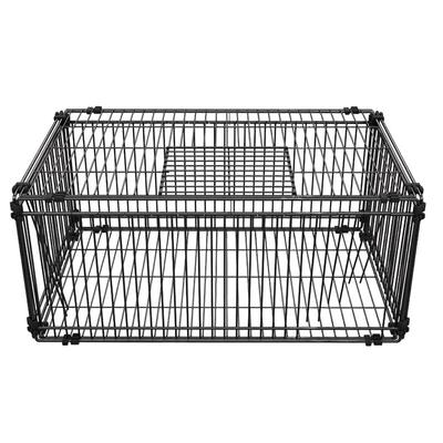 鸽子笼天落笼只进不出活络门