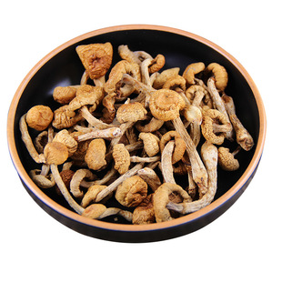 东北特产 滑子蘑滑子菇 干货小鸡炖蘑菇小黄蘑香菇类250g包邮