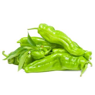 薄皮辣椒种子特辣皱皮辣椒种孑青椒种子辣椒籽种盆栽阳台农家庭院