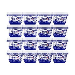 伊利老酸奶碗装风味酸乳138g*16杯装原味营养生牛乳酸牛奶