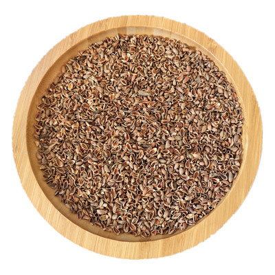 新货野生柏壳子干净柏籽壳