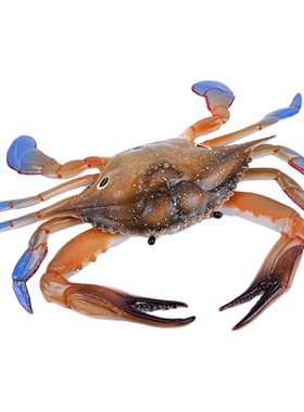 仿真寄居蟹模型海洋动物生物